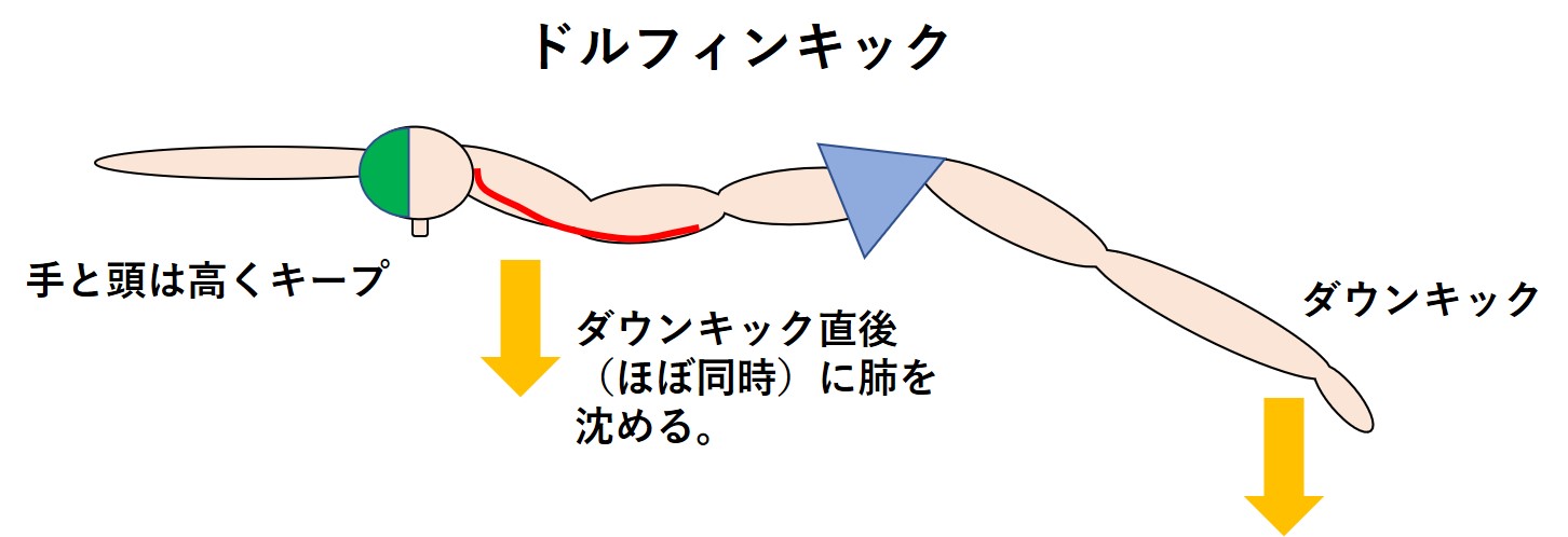 フラットに速く泳ぐ バタフライのファーストキックのタイミング スイムコーチ トレーナー尾崎優作