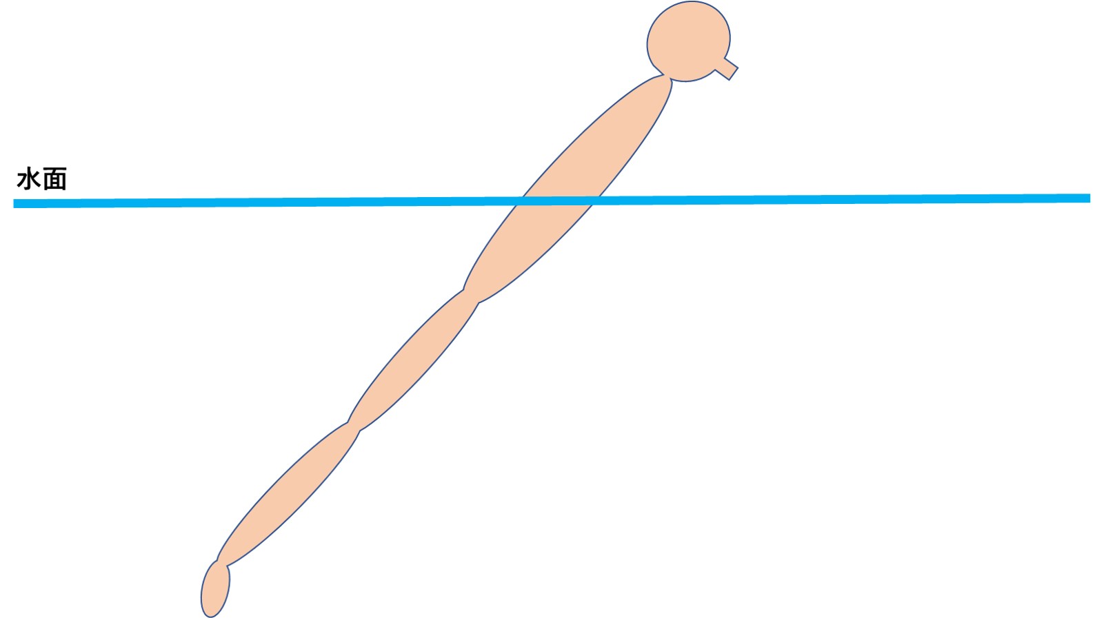 バタフライの息継ぎ時の頭の位置と目線について スイムコーチ トレーナー尾崎優作