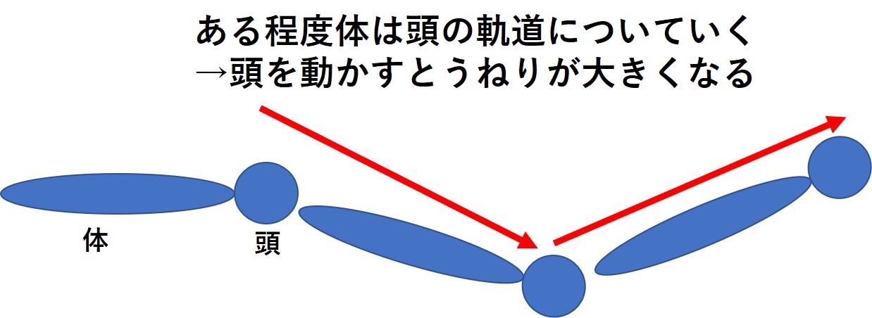 バタフライ 平泳ぎ 上下動を減らし前に進むための頭部の使い方 スイムコーチ トレーナー尾崎優作