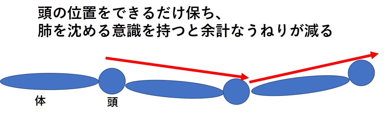 バタフライ 平泳ぎ 上下動を減らし前に進むための頭部の使い方 スイムコーチ トレーナー尾崎優作