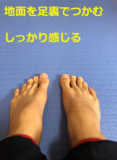 簡単 平泳ぎのキックのコツと練習法 あおり足矯正や足の使い方 スイムコーチ トレーナー尾崎優作